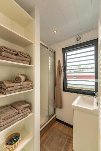 a bathroom with a shower and a sink and a mirror at Floatinghouse Topas in Zehdenick