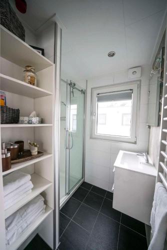 a bathroom with a shower and a sink at Floatinghouse Neptun - LP3 in Vetschau