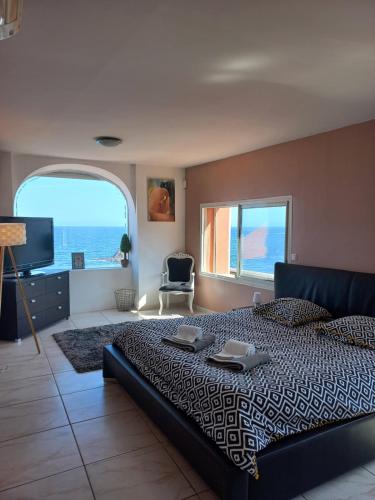 Magnifique appartement sur l'eau Anthéor