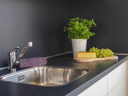a kitchen sink with a plate of cheese and a plant at Floatinghouse Krosse Krabbe - LP6 in Peenemünde