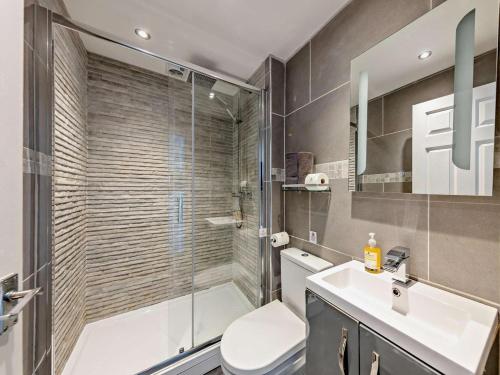 a bathroom with a shower and a toilet and a sink at 2 Bed in Aberdyfi oc-dy044 in Aberdyfi