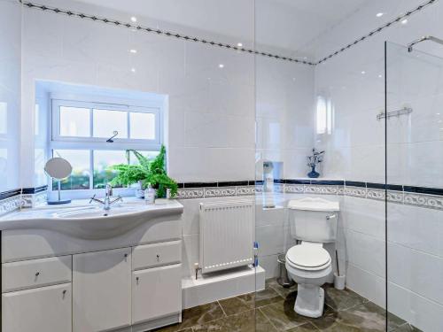 a white bathroom with a toilet and a sink at 1 Bed in Kilgetty oc-59667 in Yerbeston