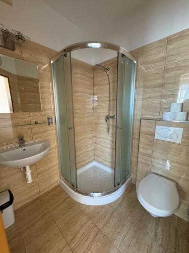 a bathroom with a shower and a toilet and a sink at Pension Euro in Mikulov