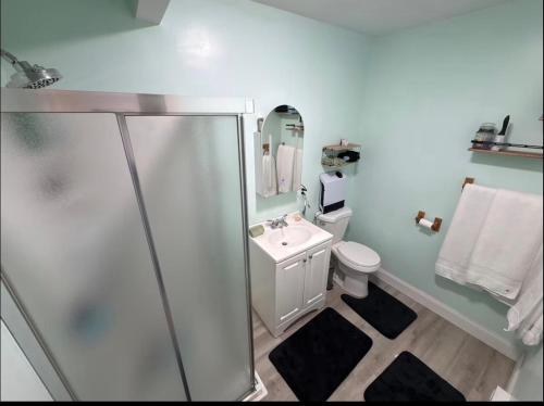 a bathroom with a shower and a sink and a toilet at Large King Suite Completely Private Space Stay close enough to Newport without the Noise in Portsmouth