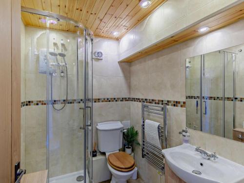 a bathroom with a shower and a toilet and a sink at 2 Bed in Llanidloes oc-95815 in Llanidloes
