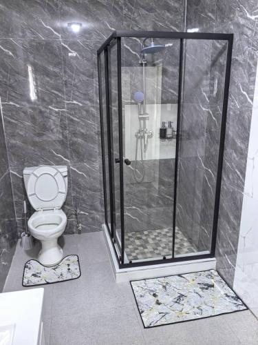 a bathroom with a shower and a toilet at Nkambo Apartments in Kitwe