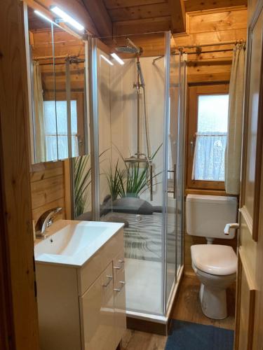 a bathroom with a shower and a sink and a toilet at Blockhaus Noffke in Stamsried