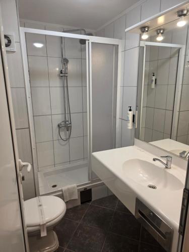 a bathroom with a shower and a sink and a toilet at Hotel Bellevue in Skopje