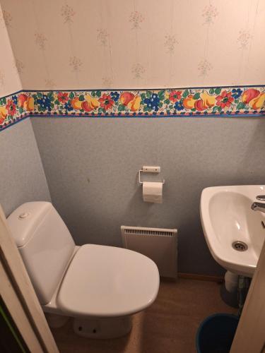 a bathroom with a toilet and a sink at Large detached house without neighbors in Kouvola