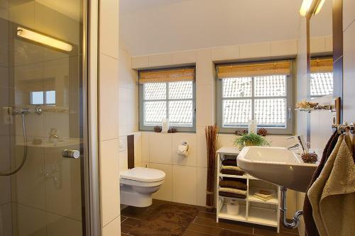 a bathroom with a toilet and a sink and a shower at Dreiurtshof Fewo 2 in Remplin