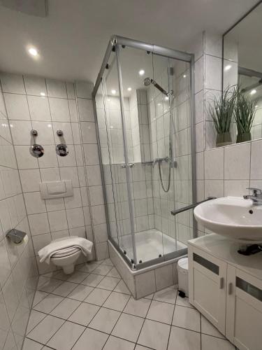 a bathroom with a shower and a toilet and a sink at Ferienresidenz Seegarten Andrea - Seezugang und Schwimmbad in Bodman-Ludwigshafen