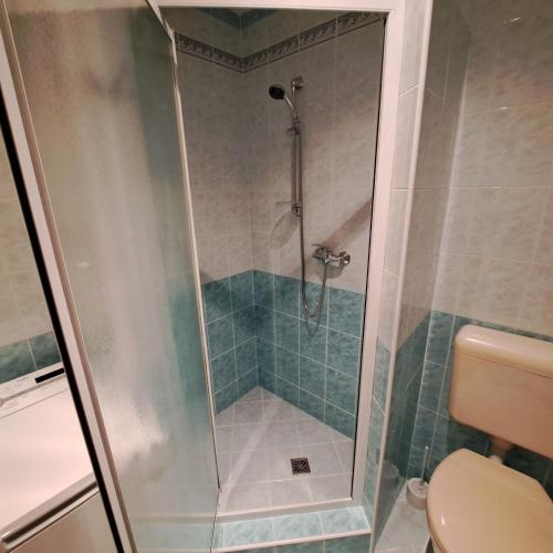 a shower with a glass door in a bathroom at Apartmán Ševcovská in Zlín