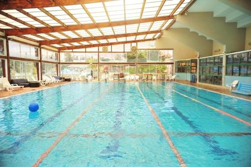 a large swimming pool with blue water at Nir David Country Lodge in Nir Dawid