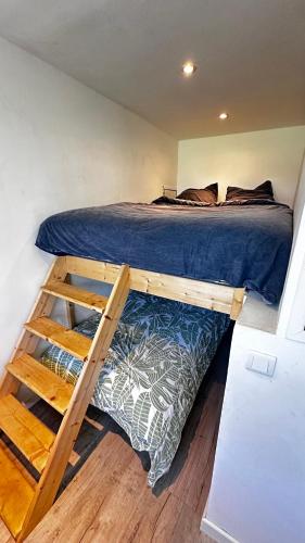 a bedroom with a bed with a ladder next to it at Appartement T1bis Saint Herblain in Saint-Herblain