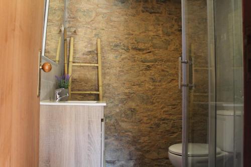 a bathroom with a toilet and a glass shower at Casa do Padrinho in Teixeira de Baixo