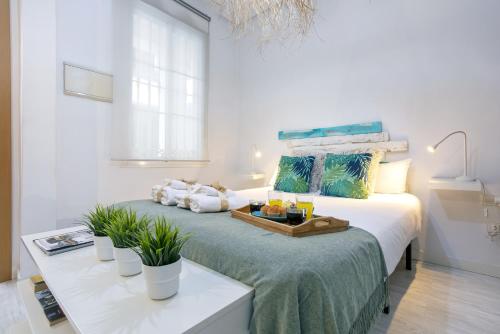-MalagaSunApts-Estudio Mezquitilla Ground Floor
