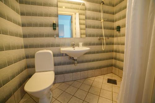 a bathroom with a toilet and a sink at Sitla Hotel & Apartments in Øvre Årdal