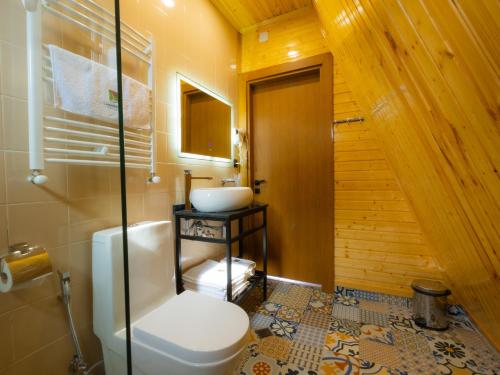 a bathroom with a toilet and a sink at Reserve Resort Lagodekhi in Lagodekhi