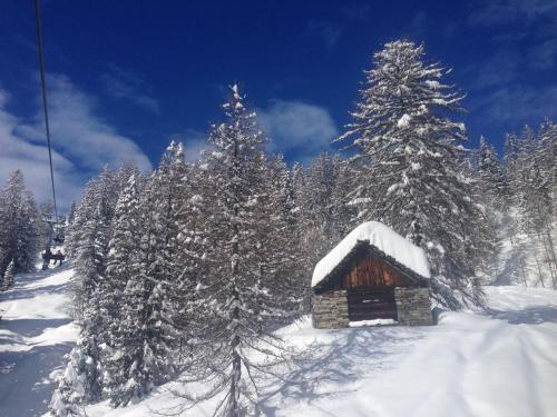 a snow covered cabin in the middle of a snow covered forest at Casa di vacanza Giovanibosco in Bosco Gurin