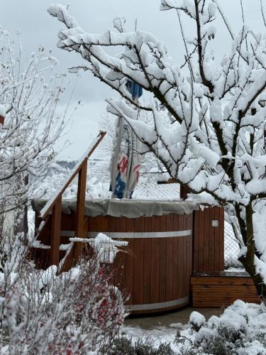 a snow covered garden with a hot tub and a tree at Casa Cu Lavandă in Valea Drăganului