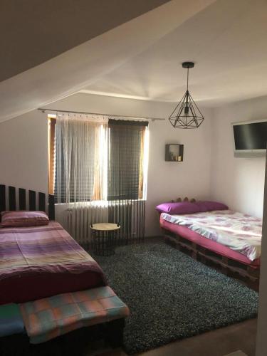 a bedroom with two beds and a window at Casa Cu Lavandă in Valea Drăganului
