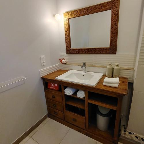 a bathroom with a sink and a mirror at Studio Augustine, studio pour une pause en Baie du Mont Saint Michel in Roz-sur-Couesnon