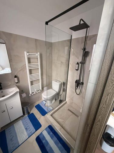 a bathroom with a shower with a toilet and a sink at Eclipse grill and pizza in Corunca
