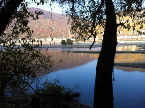 a view of a body of water with a tree at Gästehaus Rheinromantik in Bacharach