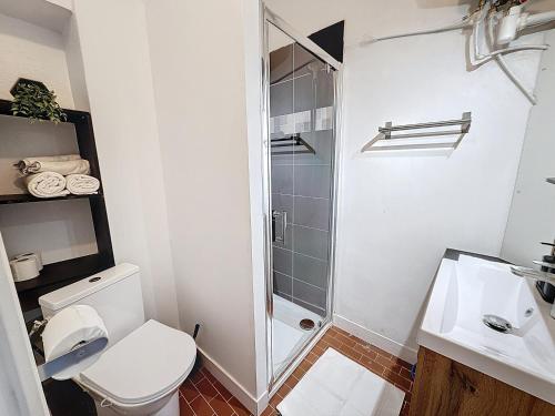 a small bathroom with a toilet and a shower at Le Nid d'andéol in Bourg-Saint-Andéol