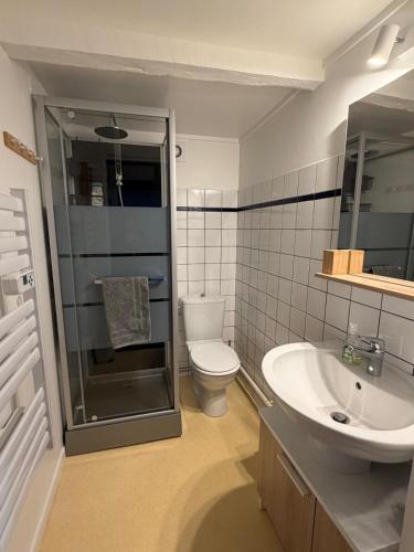 Vonios kambarys apgyvendinimo įstaigoje La P'tite Maison
