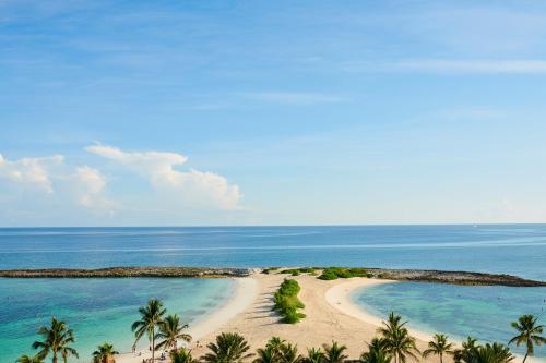 an aerial view of a beach with palm trees and the ocean at The Cove at Atlantis in Nassau