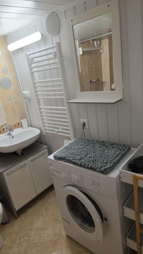 a bathroom with a washing machine and a sink at Studio atypique avec Piscine à partager en option in La Ferté-Gaucher