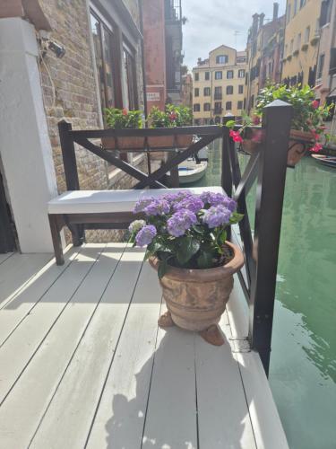 Alla Vite Dorata photo 68