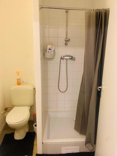 a bathroom with a toilet and a shower at Ancrage home in Montargis