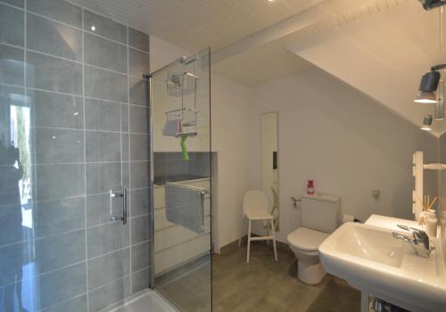 a bathroom with a shower and a toilet and a sink at Joli Canard in Badefols-dʼAns