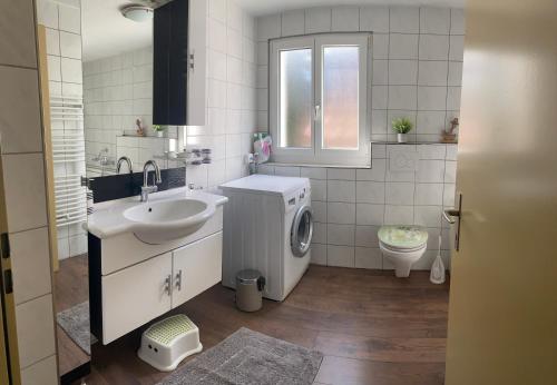 a bathroom with a sink and a washing machine at Apartment mit Balkon in Brienz