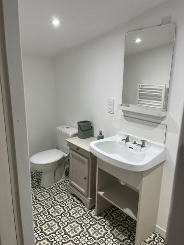 a bathroom with a sink and a toilet and a mirror at Chez Marie et Dany in Châteaumur