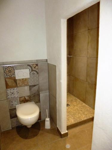 a bathroom with a toilet and a shower at Gästehaus Rheinromantik in Bacharach