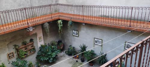 an overhead view of a balcony with plants at Oleggio apartment in Oleggio