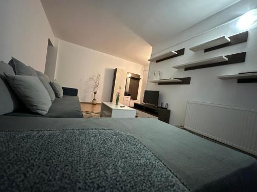 a bedroom with a bed and a couch at Alexys Residence 4 in Iaşi