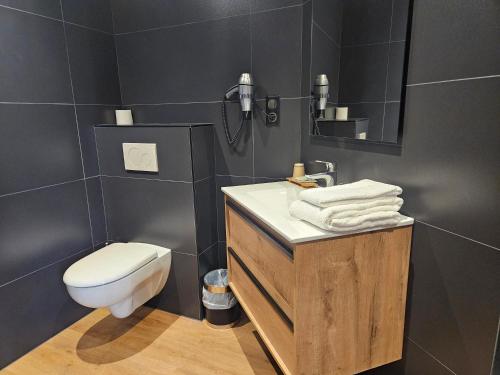 a bathroom with a toilet and a sink and a mirror at La Route d'Argent in Bozouls