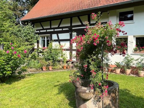 a house with a bunch of flowers in a yard at Gästezimmer Flora Hanauerland - Kunst & Natur nahe Straßburg in Kehl am Rhein
