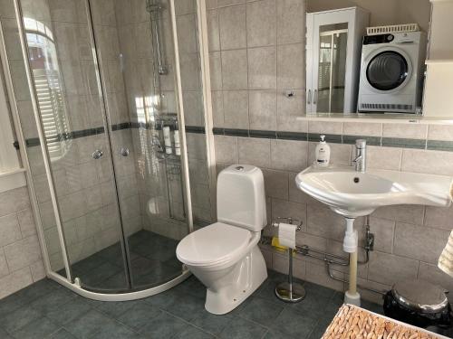 a bathroom with a shower and a toilet and a sink at Gästhus i Västanbyn, Sandviken in Sandviken