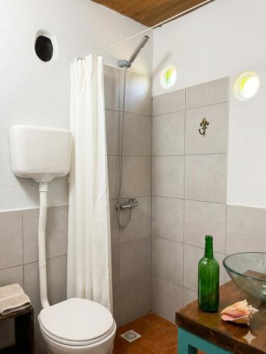 a bathroom with a shower with a toilet and a sink at Refugio El Dormilón, Jardín cercado, Wifi, Playa 300 m, Pet friendly in La Pedrera