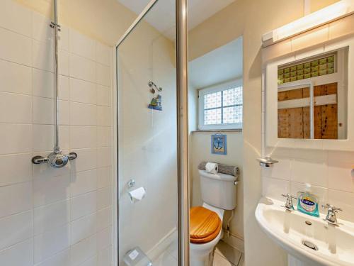 a bathroom with a shower and a toilet and a sink at 2 Bed in Aberdyfi oc-dy015 in Aberdyfi