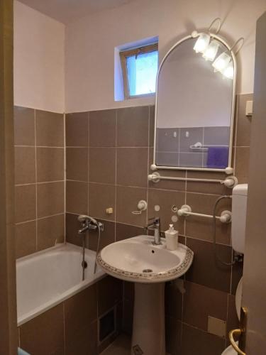 a bathroom with a sink and a tub and a mirror at Tiha noc apartmani in Belgrade