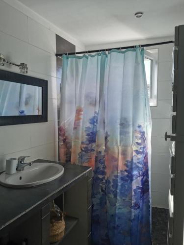 un baño con lavabo y cortina de ducha en La Provençale, en Valensole