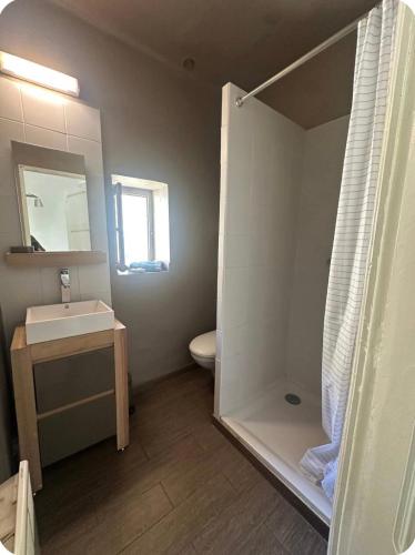 a bathroom with a sink and a toilet and a mirror at Maison colette CORDOLIANI in Brando