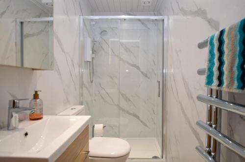 a bathroom with a shower and a toilet and a sink at Kames View Apartment in Tighnabruaich