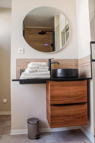 a bathroom with a sink and a mirror at La Maison 12 in Valenciennes